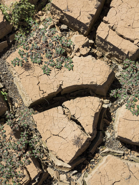 деталь разбитого грунта пустой дамбы во время засухи
 - Фото, изображение
