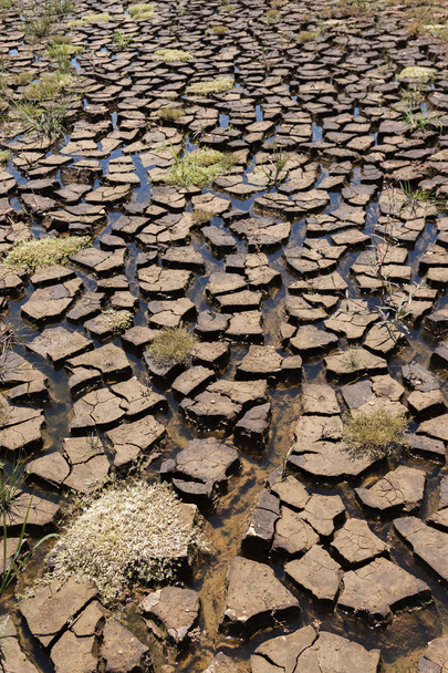 během suché popraskané země s vodou prázdné přehrady - Fotografie, Obrázek