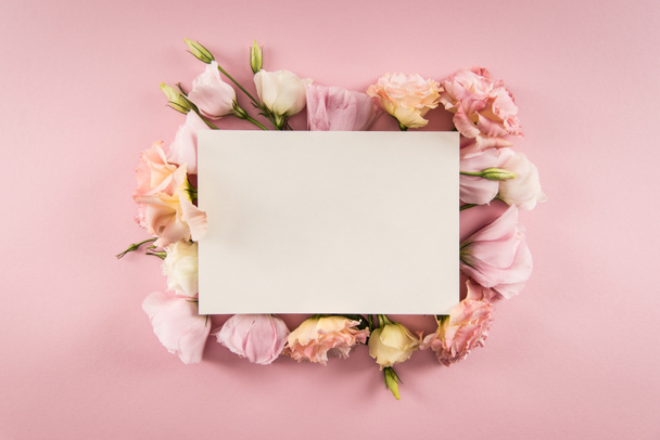 Bellissimi fiori e carta bianca
 - Foto, immagini
