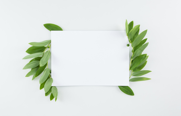Tarjeta en blanco con hojas verdes
 - Foto, imagen