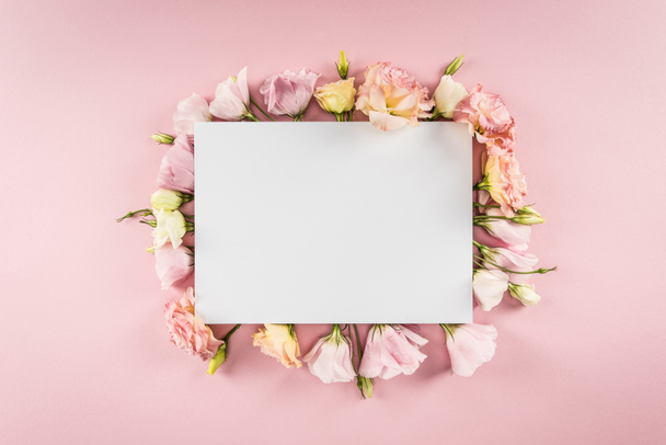 Beautiful flowers and blank card - Photo, Image