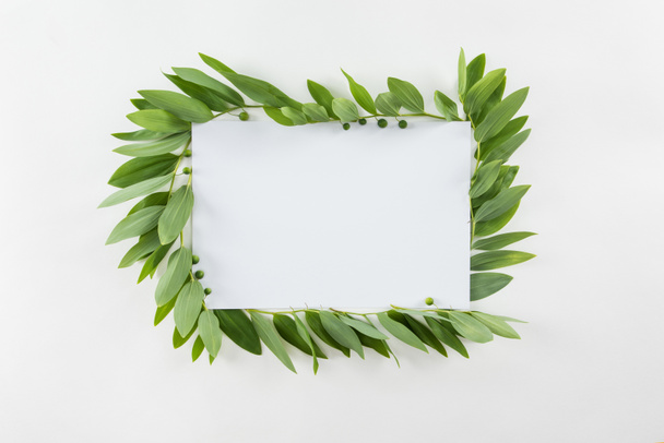 Blanco kaart met groene bladeren - Foto, afbeelding