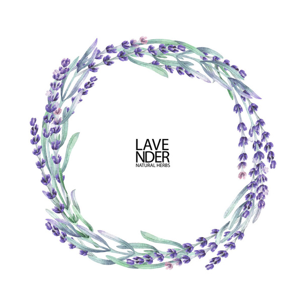 Watercolor lavender wreath - Vector, Image