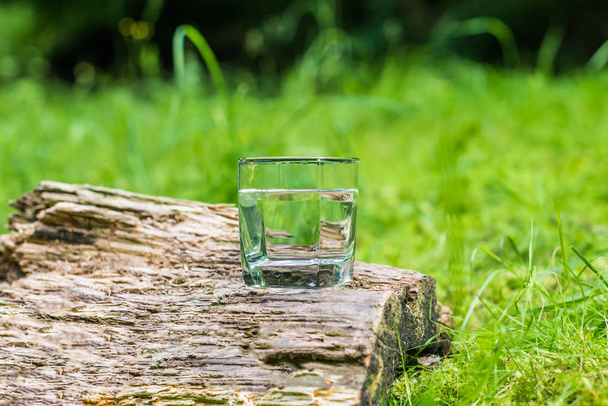 Glas Wasser - Foto, Bild