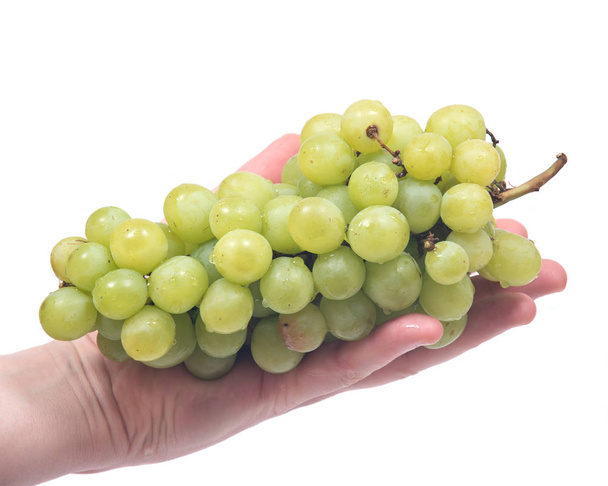 Uvas verdes orgánicas maduras
 - Foto, imagen