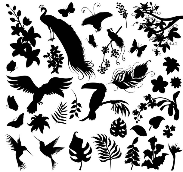 Set  of silhouettes of tropical plants and birds. - Vektor, obrázek