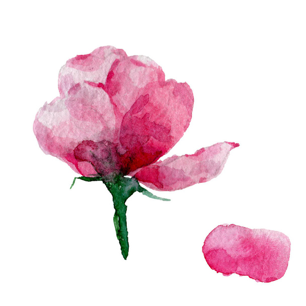 Wildflower roses flower in a watercolor style isolated. - Fotó, kép