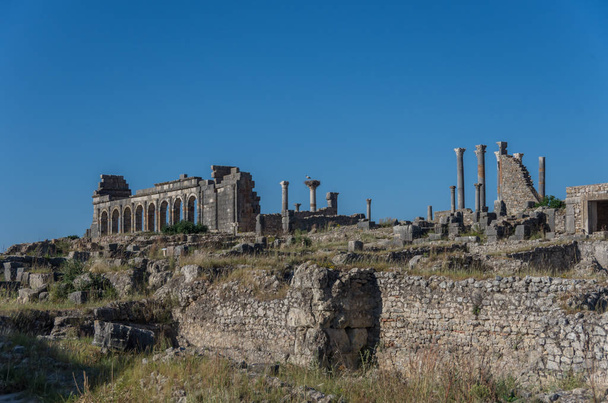 Vista da Basílica e do Templo Capitolino, sítio arqueológico de Volubilis, antiga cidade do Império Romano, Património Mundial da UNESCO, localizado em Marrocos, perto de Meknes
 - Foto, Imagem