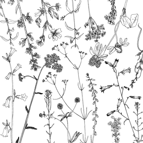 Background with ink drawing herbs and flowers - Wektor, obraz