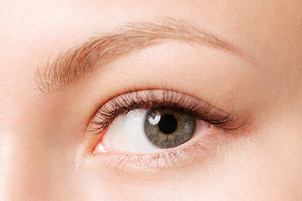 Closeup shot of female eye with day makeup - Foto, Imagen