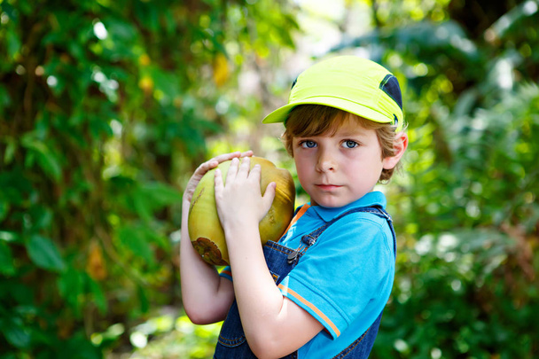 Happy funny little preschool kid boy holding huge coconut. - Photo, Image