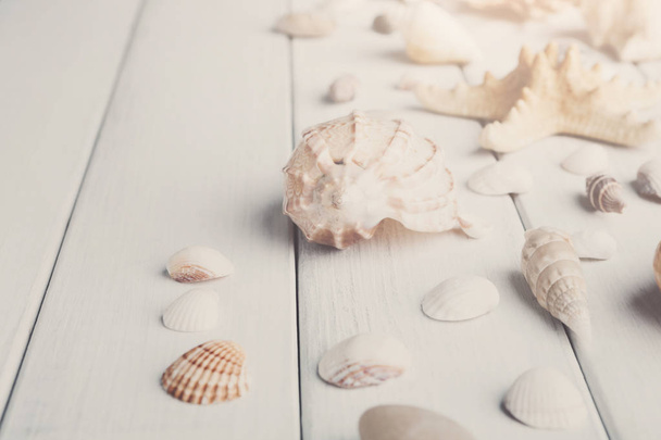 Seashells em madeira branca, fundo férias mar
 - Foto, Imagem