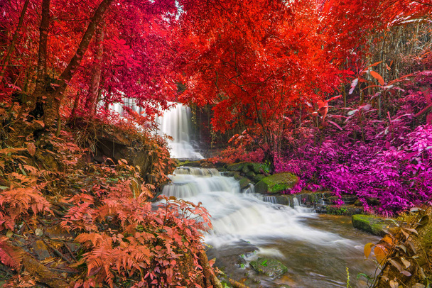 hermosa cascada en la selva tropical en phu tub berk mountain phet
 - Foto, Imagen