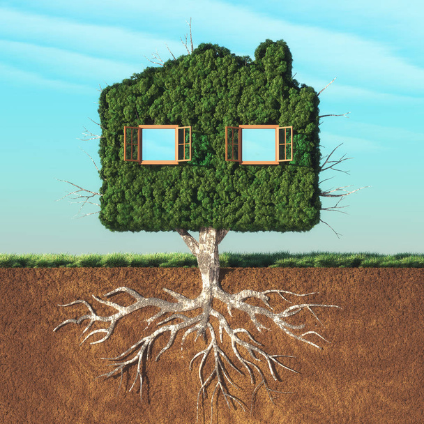 House shaped green tree  - Photo, Image