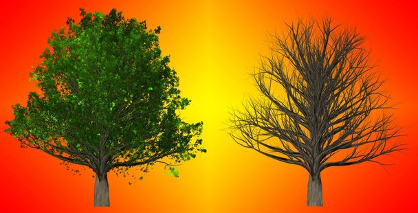 Árvore isolada em fundo abstrato, ilustração 3D
 - Foto, Imagem