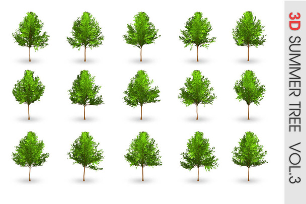 3D Verano conjunto árbol colección objeto aislado en blanco volumen 3
 - Foto, Imagen