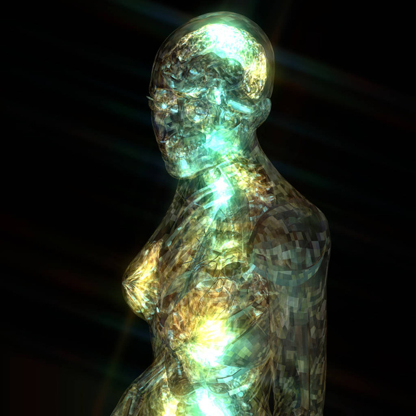3D Illustration of a human Anatomy - Foto, Imagem
