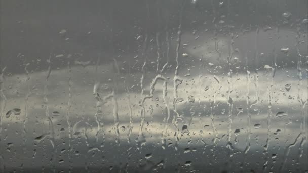 Okno pokryte deszczem - Materiał filmowy, wideo