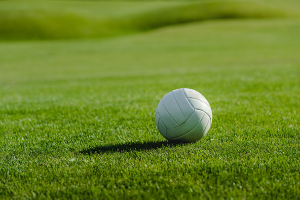 Leather ball on lawn - Photo, Image