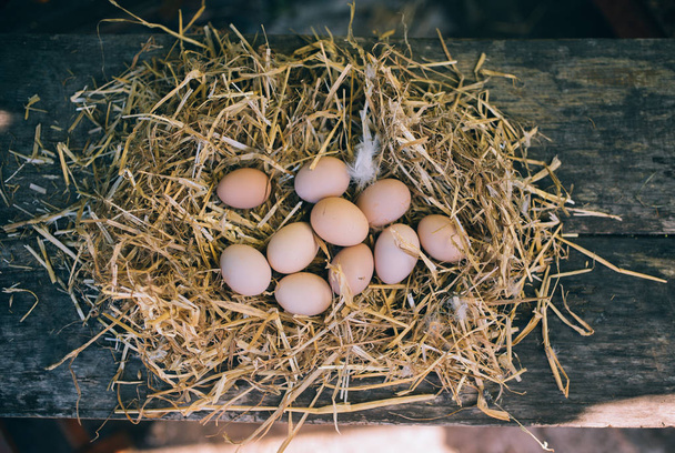 Eier mit Stroh im Nest - Foto, Bild