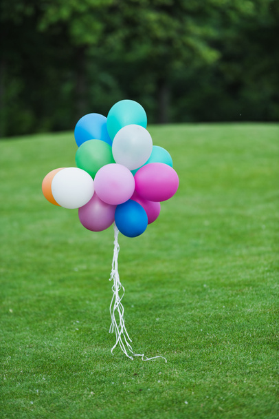 Bunte Luftballons im Park - Foto, Bild