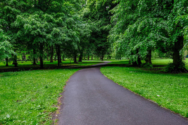 Caminho sinuoso pelas árvores em Bute Park, Cardiff, País de Gales
  - Foto, Imagem