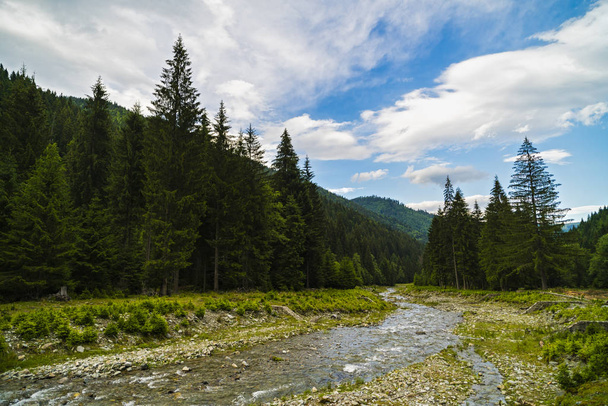 Όμορφο τοπίο με ορεινό ποτάμι σε ένα άγριο τόπο - Φωτογραφία, εικόνα