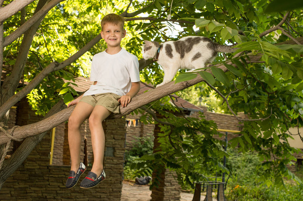 Boy sits on the tree branch - Фото, изображение