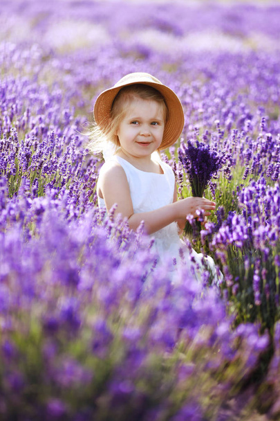little girl at lavender field - 写真・画像