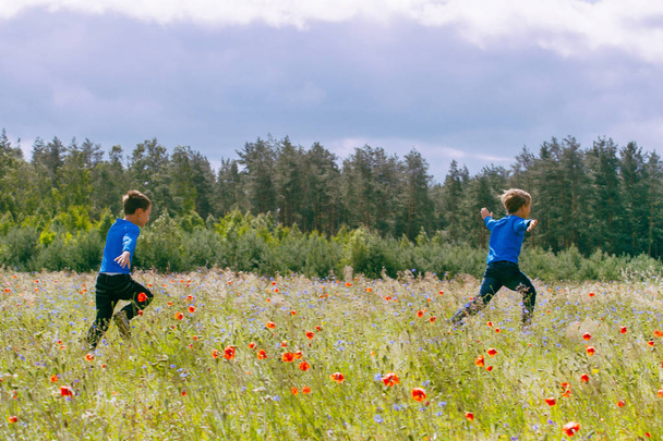 Happy children running on beautiful meadow field. - Photo, Image