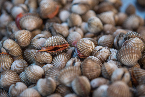 Amêijoas marinhas cruas frescas no mercado de frutos do mar
 - Foto, Imagem