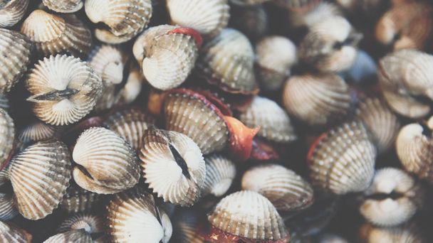 Свежие морские моллюски на рынке морепродуктов
 - Фото, изображение