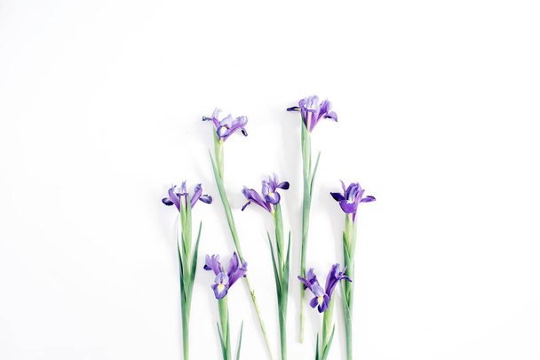 Mooie paarse iris bloemen - Foto, afbeelding