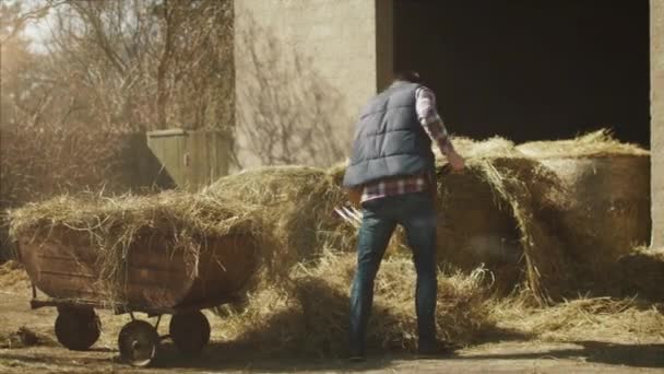 Man is cleaning a farm yard from hay with a pitchfork on a sunny day. - Video, Çekim