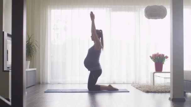 Young Pregnant Woman Doing Fitness in Living Room at Home. - Imágenes, Vídeo