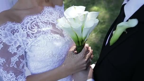 Жених держит невесту за руку с любовью
 - Кадры, видео