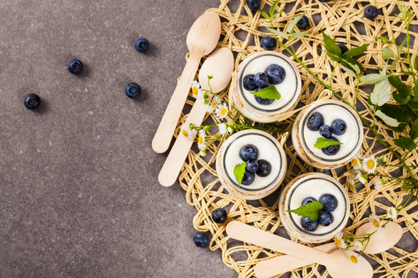 Jogurt dezert s borůvkami - Fotografie, Obrázek