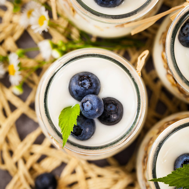 Yoghurt Dessert met bosbessen - Foto, afbeelding