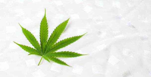 Marijuana leaf on white textile background - Foto, Imagem