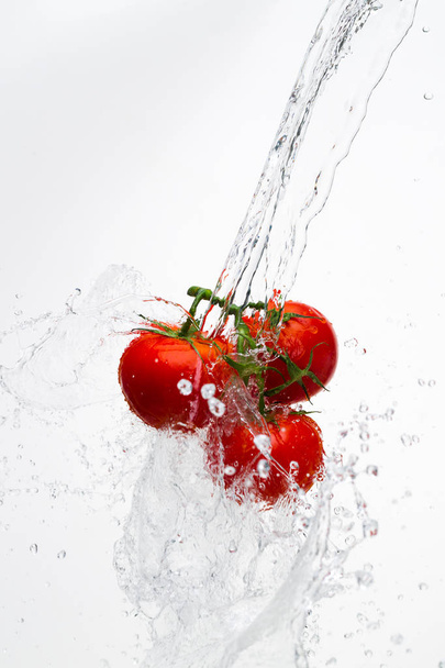 Red tomatoes on a branch with drops of water on a white backgrou - Φωτογραφία, εικόνα