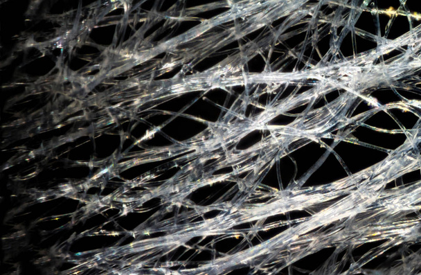 Natte wipe weefsel onder de Microscoop - Foto, afbeelding
