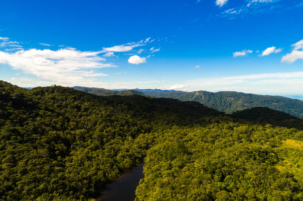 熱帯雨林の山の空撮 - 写真・画像