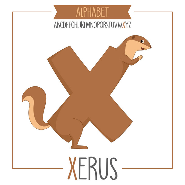 Illustrated Alphabet Letter X And Xerus - Vector, Image