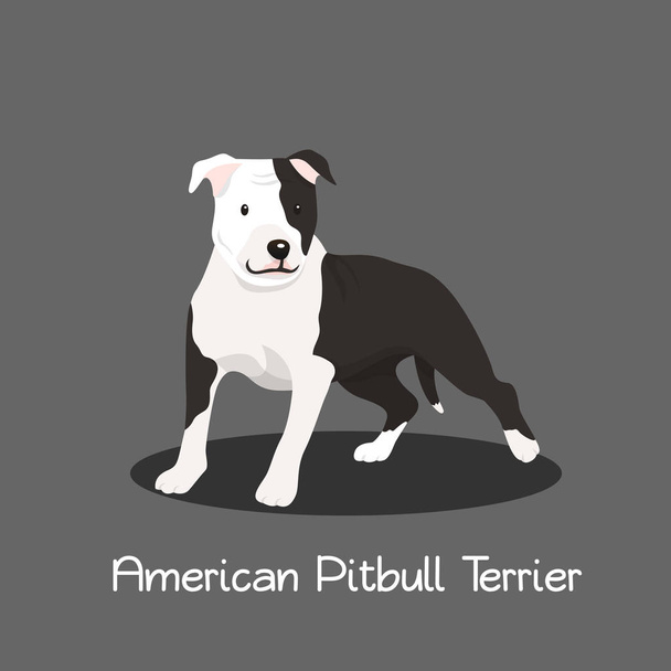 American Pitbull Terrier animal de compagnie dessin animé illustration graphisme
 - Vecteur, image