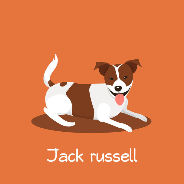 Egy aranyos Jack russell kutya cartoon.vector ábrázoló illusztráció - Vektor, kép