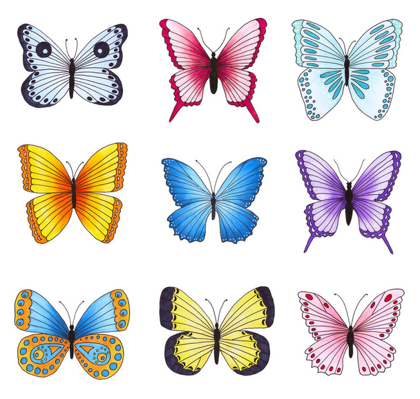 Beyaz arka plan üzerinde izole çok renkli kelebekler dizi.   - Fotoğraf, Görsel