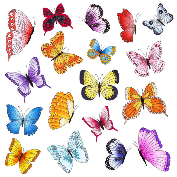 Reihe von bunten Schmetterlingen isoliert auf weißem Hintergrund.   - Foto, Bild