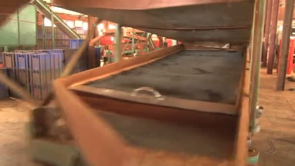 Maszyna, która pracuje w fabryce herbaty - Materiał filmowy, wideo