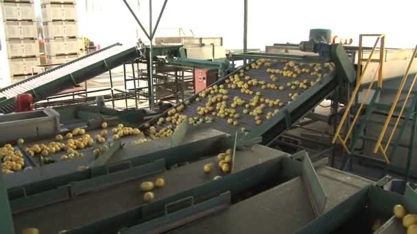 Modern limon fabrika - Video, Çekim