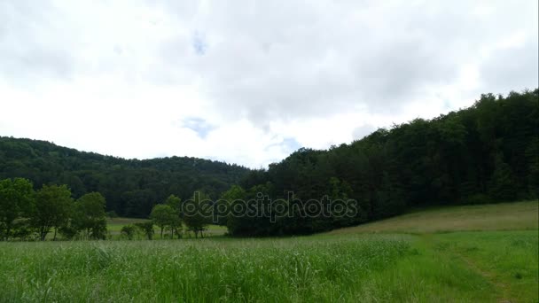 Gyalogút dombok Geroldswil - Felvétel, videó